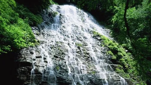 电子高效高性能